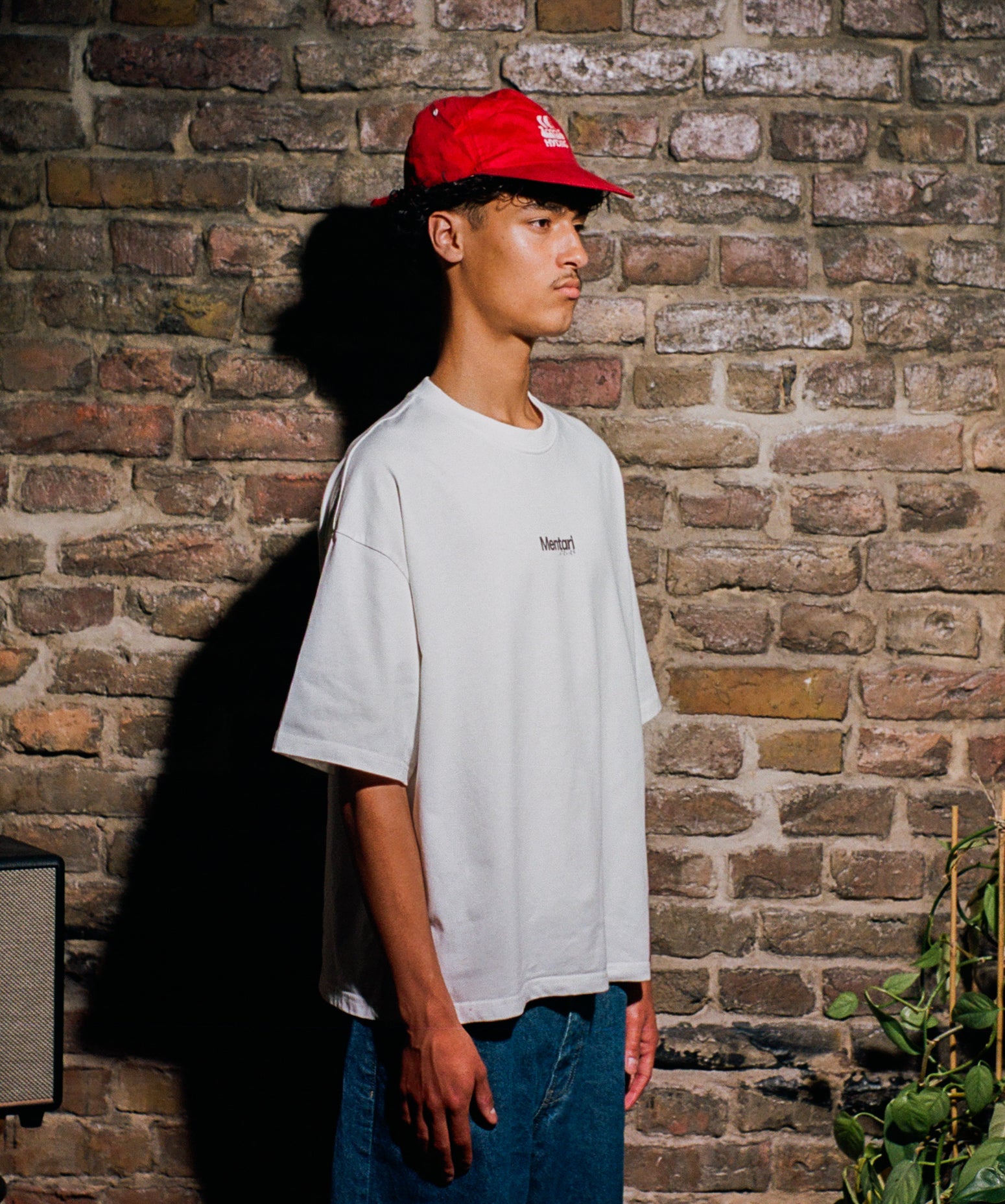 Classic Loose Boxy Tee