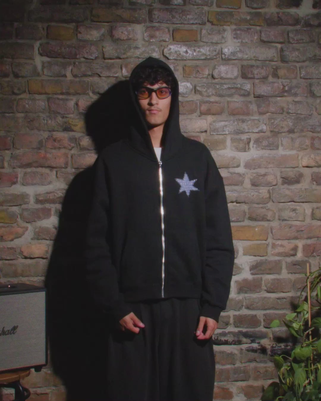Star Zip Crop Hoodie